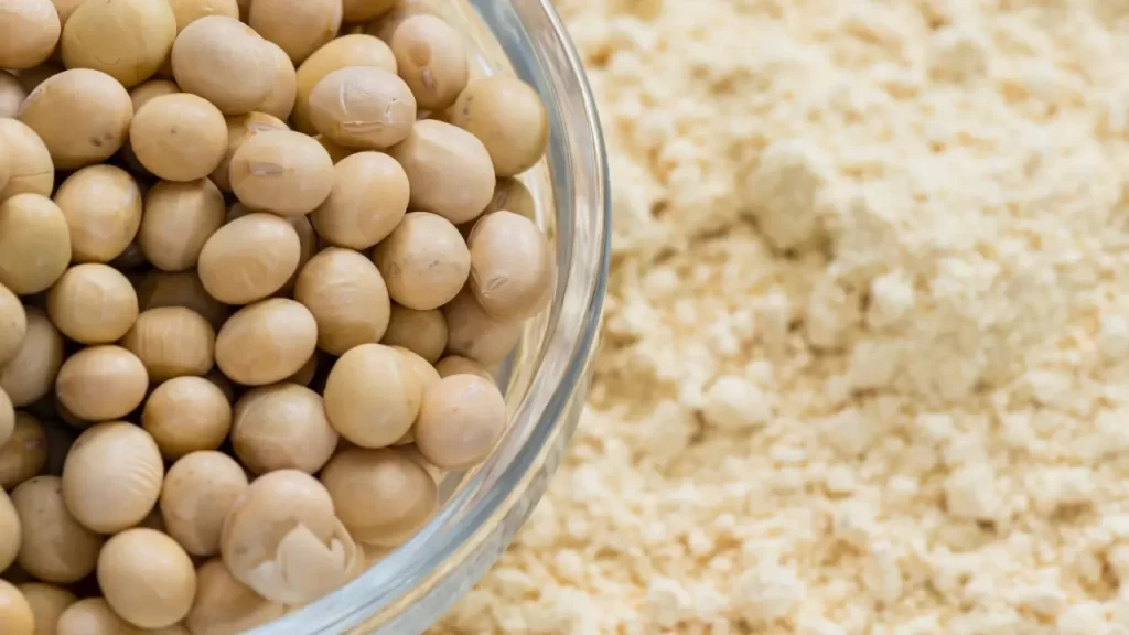 proteína de soja pão sem glúten receita